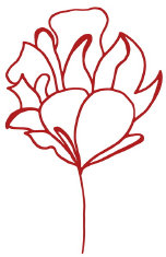 homepage_annette001001.jpg